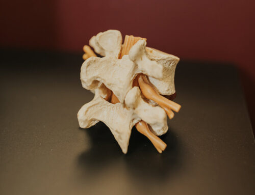 Types of Chiropractic Adjustments: Atlas Orthogonal, Activator & Traditional Techniques Explained